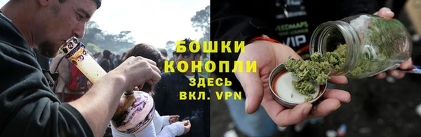 дурь Козельск