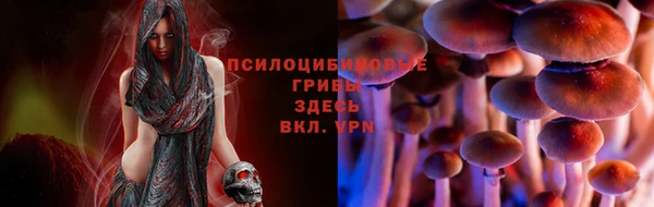дурь Козельск