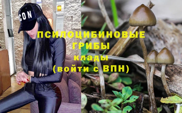 mdpv Кодинск