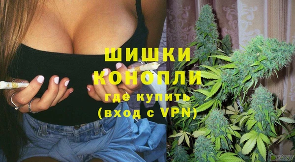 дурь Козельск