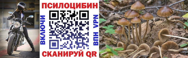 Купить где Аткарск Галлюциногенные грибы мицелий